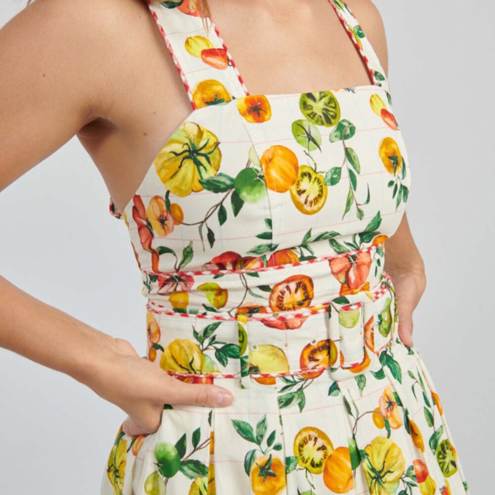 Rachel Antonoff Antonia Top-Family Heirloom, NWT, Sz 8, Matching Skirt Available